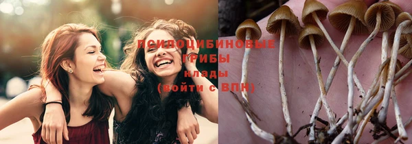 дживик Остров