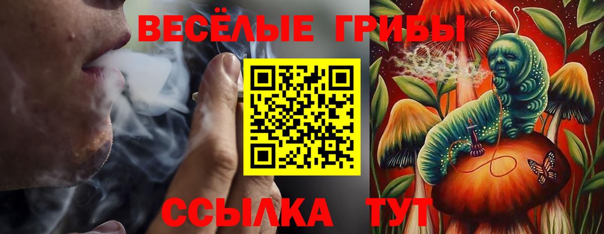 Галлюциногенные грибы ЛСД Стрежевой
